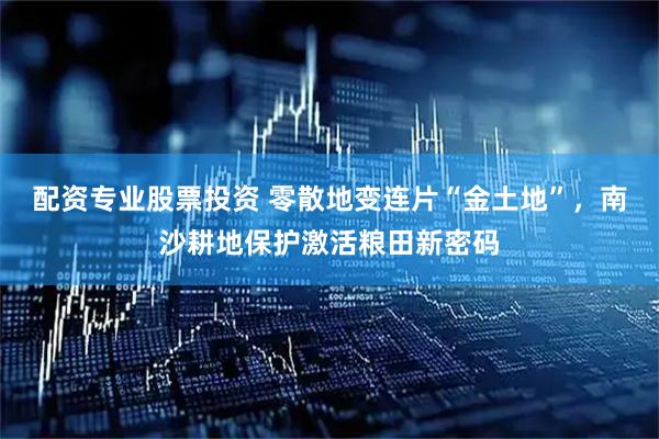 配资专业股票投资 零散地变连片“金土地”，南沙耕地保护激活粮田新密码