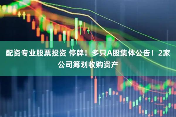 配资专业股票投资 停牌！多只A股集体公告！2家公司筹划收购资产