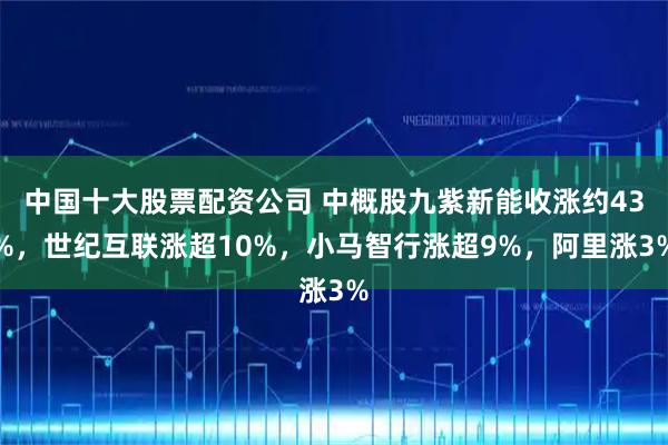 中国十大股票配资公司 中概股九紫新能收涨约43%，世纪互联涨超10%，小马智行涨超9%，阿里涨3%