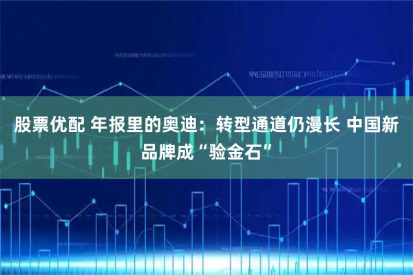 股票优配 年报里的奥迪：转型通道仍漫长 中国新品牌成“验金石”